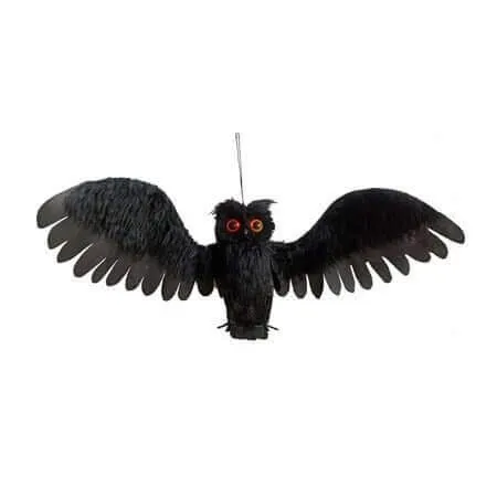 Halloween Decoration Prop - 28" Animated Black Sonic Light-Up Owl