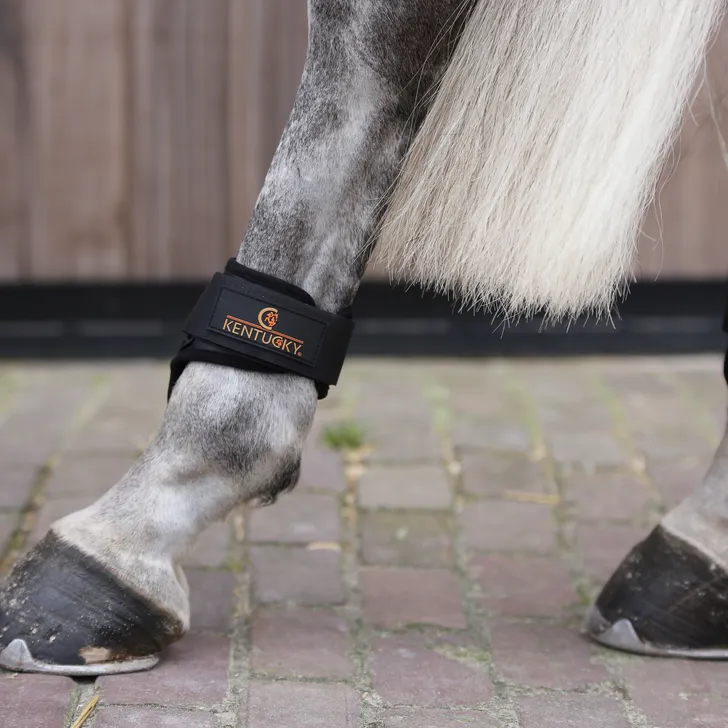 Young Horse Fetlock Boots